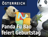 Panda mit Geschenk