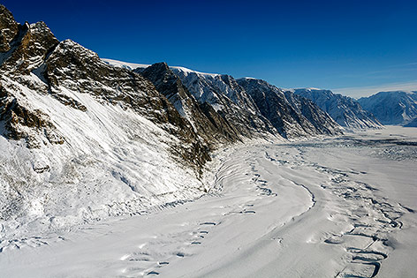 Violingletscher in Grönland