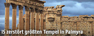 Palmyra