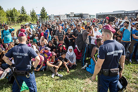 © AP/Balazs Mohai Polizisten und Flüchtlinge an der kroatisch-ungarischen Grenze in Beremend