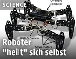 Sechsbeiniger Roboter