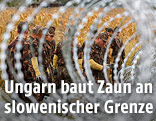 Ungarische Soldaten bauen einen Grenzzaun