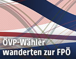 Grafik zu den Wählerströmen
