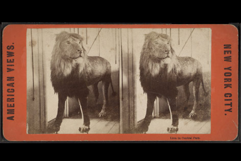 © Public Domain Beispielmotiv