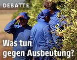 Arbeiter auf einer Orangenplantage