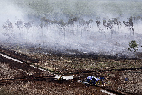 © Reuters/Antara Foto/Nova Wahyudi Waldbrände auf Sumatra, Indonesien