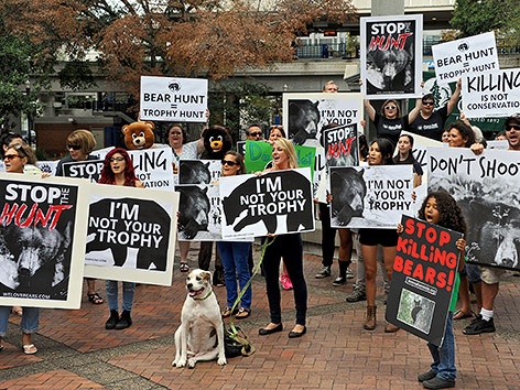 © APA/AP/The Florida Times-Union/Bob Mack Demonstranten mit Schildern gegen die Bärenjagd
