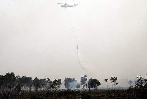 © APA/AP/Tatan Syuflana Löscharbeiten