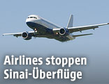 Fliegendes Flugzeug