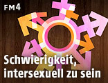 Piktogrammmix Männlich/Weiblich