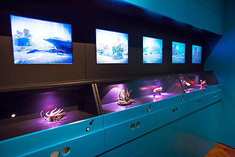 © ORF.at/Carina Kainz Eindrücke von der Ausstellung "Planet 3.0 - Klima.Leben.Zukunft"