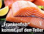 Lachs-Filets auf einem Teller