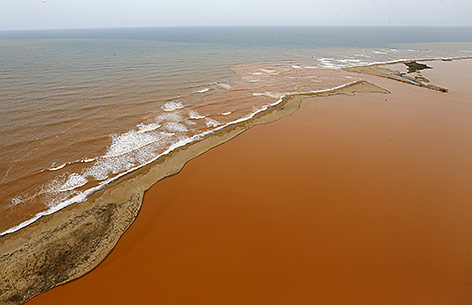 © Reuters/Ricardo Moraes Braungefärbtes Meer