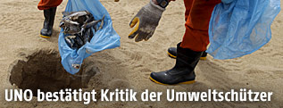 Tote Fische werden am Strand verscharrt