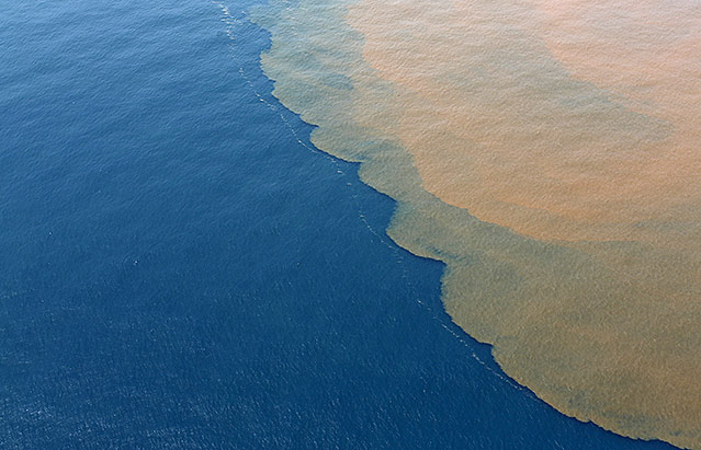 © Reuters/Ricardo Moraes Braungefärbtes Meerwasser