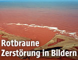 Braungefärbtes Meerwasser