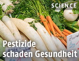 Gem&uuml;sestand auf einem Markt