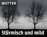B&auml;ume im Winter