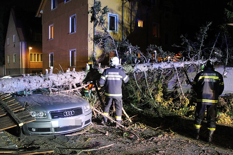 © APA/Feuerwehr Wiener Neustadt Schäden nach einem Sturm in Ostösterreich