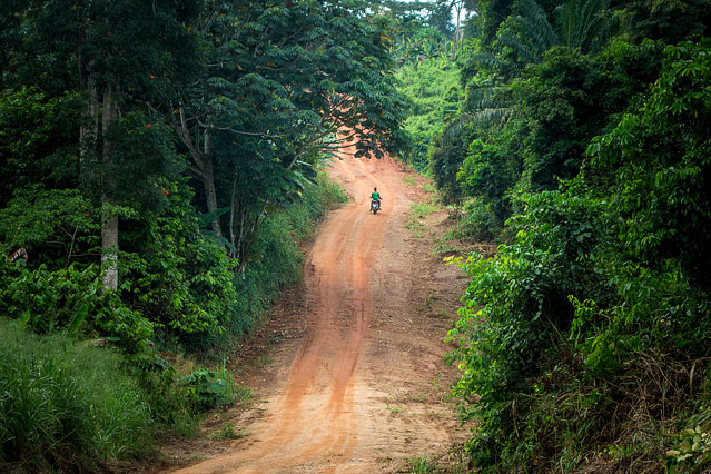 Mopedfahrer auf einem Waldweg