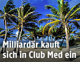 Strand mit Palmen