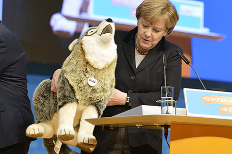 © APA/AFP/Thomas Kienzle Angela Merkel mit Stofftier