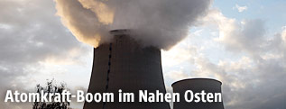 Rauch entweicht aus einem Atomkraftmeiler