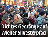 Feiern zum Jahreswechsel in der Wiener Innenstadt