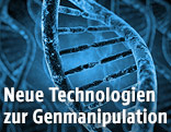 Ein DNA Strang
