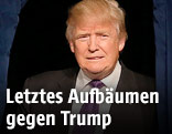 Republikanischer US-Präsidentschaftskandidat Donald Trump
