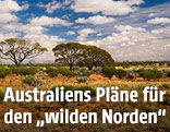 Wüstenlandschaft im Northern Territory