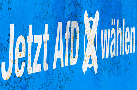 AfD-Wahlplakat