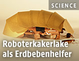 Roboterkakerlake