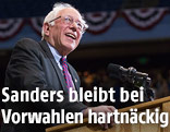 Bernie Sanders