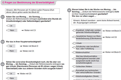 © Statistik Austria Screenshot eines Fragebogens