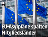 EU-Flaggen vor dem EU-Kommissionsgebäude in Brüssel