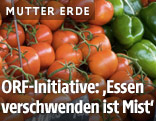 Tomaten und Paprika
