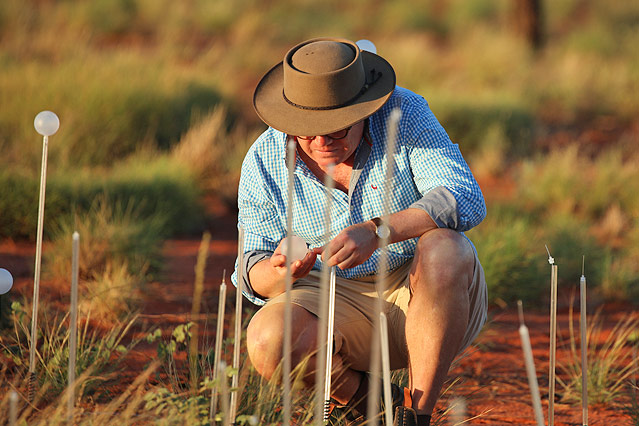 © www.dam.voyages.com.au Das Projekt "Field of Light" des britischen Lichtdesigners Bruce Munro vor dem Ayers Rock in Australien