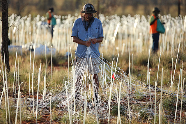 © www.dam.voyages.com.au Das Projekt "Field of Light" des britischen Lichtdesigners Bruce Munro vor dem Ayers Rock in Australien