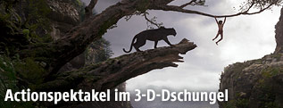 Szene aus den Dschungelbuch