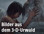 Szene aus den Dschungelbuch