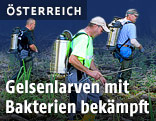 Gelsenwehren bringen die Bakterien zu den mit Gelsenlarven befallenen Wasserstellen