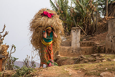 © ORF.at/Simon Hadler Eindrücke aus Nepal