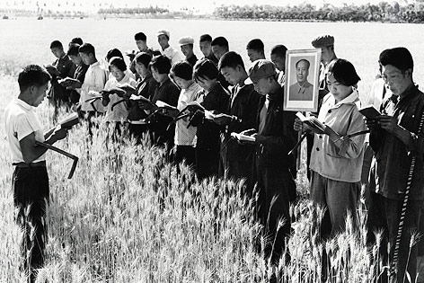 © APA/AFP/ Arbeiter auf dem Feld lesen die Mao-Bibel