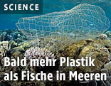 Plastik schwimmt in einem Korallenriff