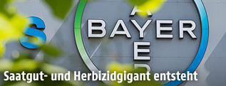 Bayer-Logo