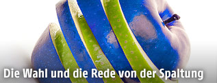 In blaue und gr&uuml;ne Spalten geteilter Apfel