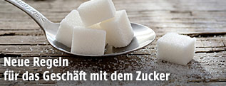 Zuckerwürfel auf einem Löffel