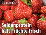 Erdbeeren
