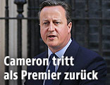 Der britische Premierminister David Cameron